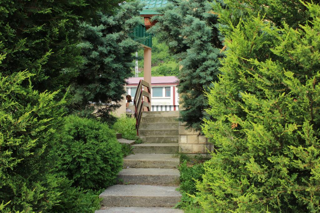 Guesthouse Eko Piva Plužine Eksteriør bilde